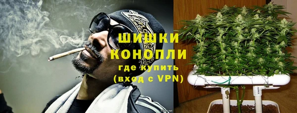 сатива Арсеньев