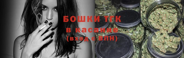 сатива Арсеньев